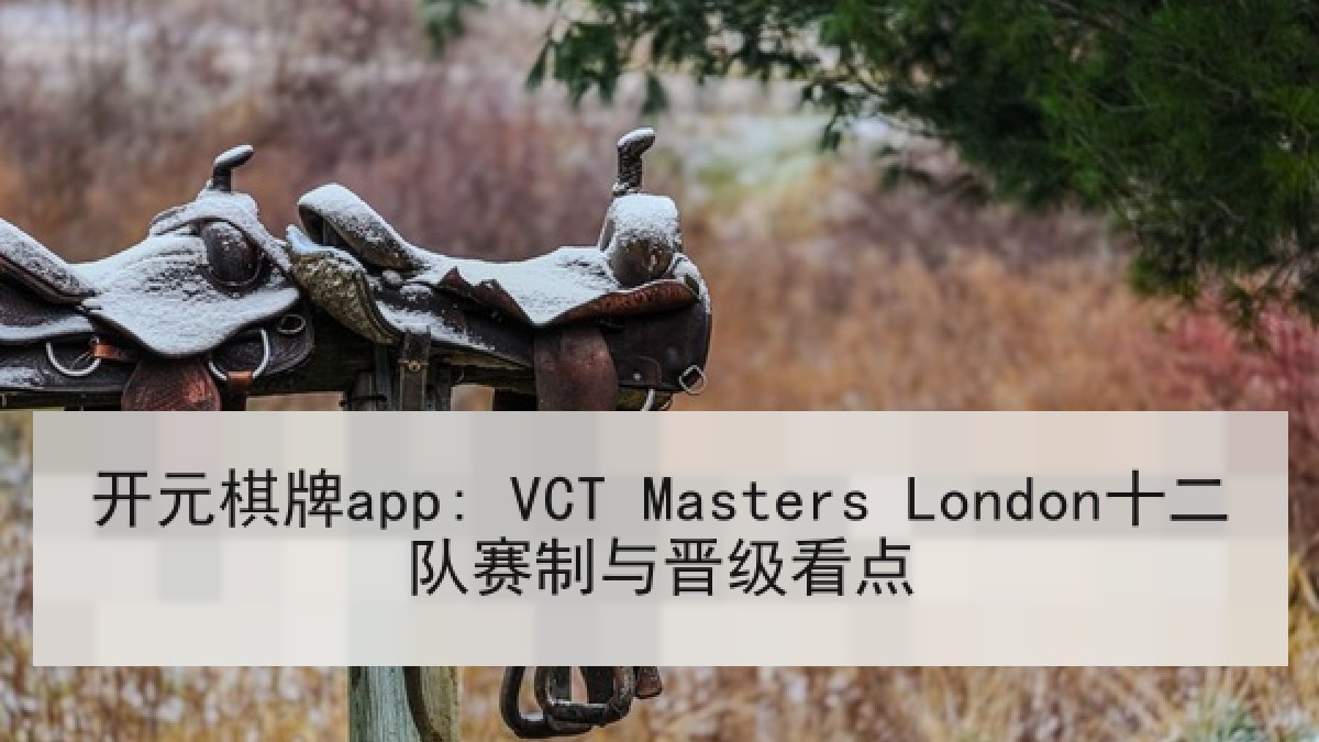 开元棋牌app: VCT Masters London十二队赛制与晋级看点 开元棋牌app: VCT Masters London十二队赛制与晋级看点