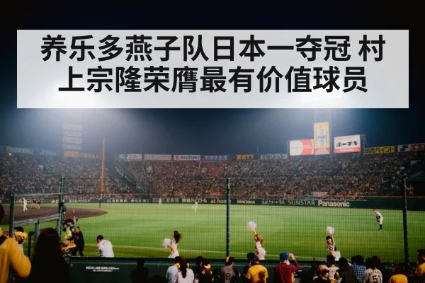 baseball stadium night game